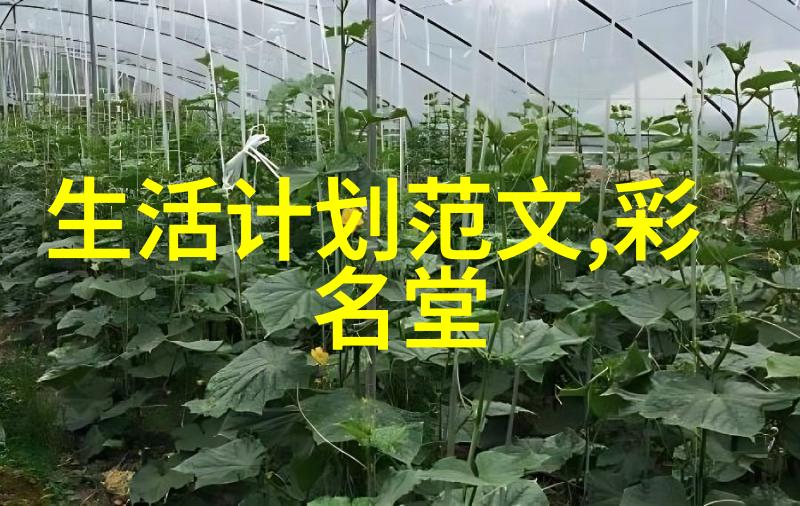 苹果这样蒸着吃三天瘦 5 斤刮油甩脂大肚腩不见了