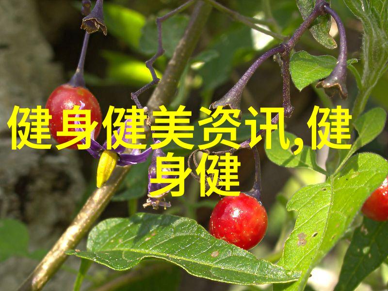 健身饮食的基本知识你了解多少