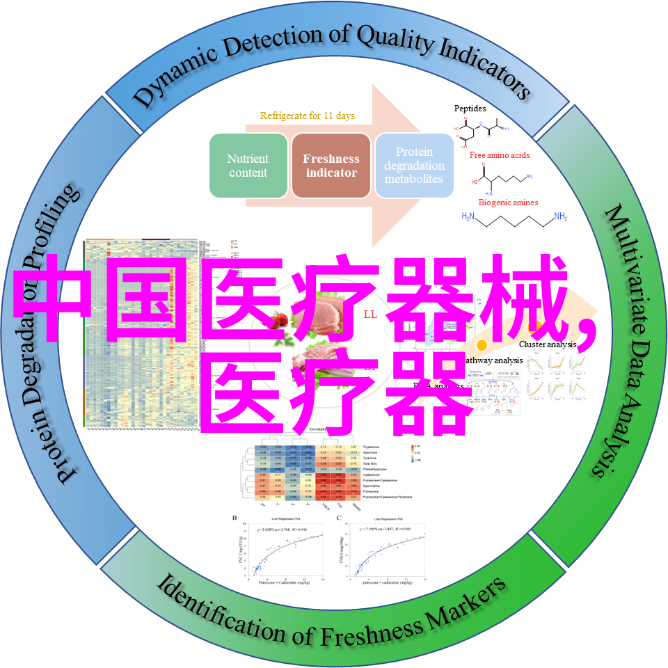 美姿减肥贴你用对了吗