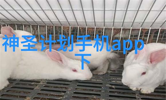 减肥霜真的能减肥吗
